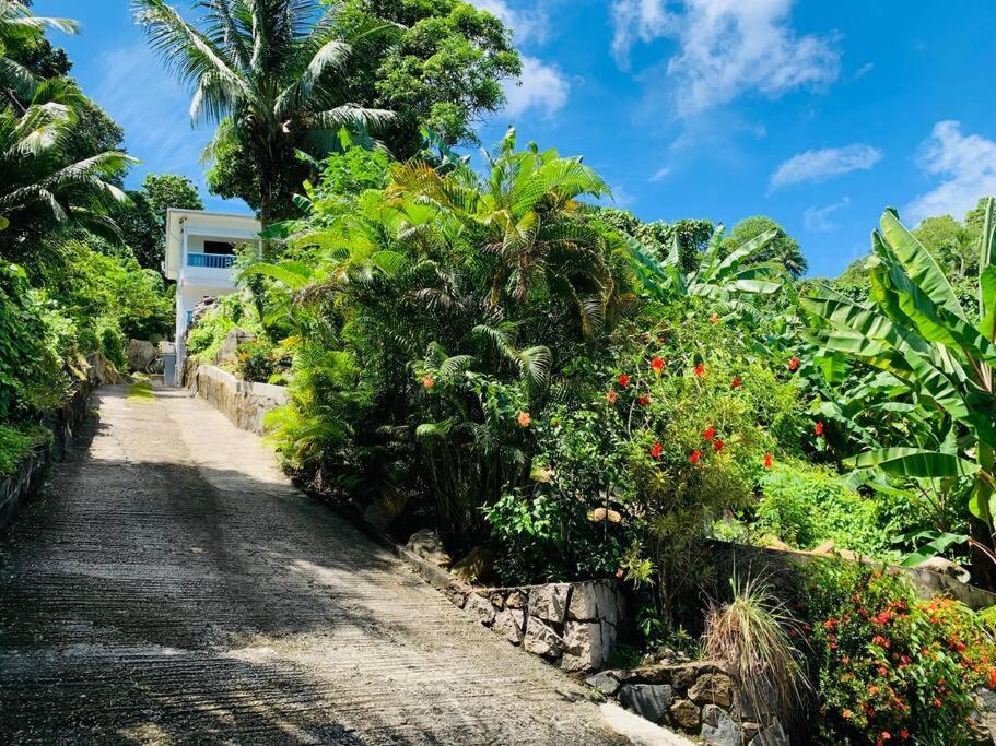 Crystal Apartments Seychelles Seaview Ground Floor Glacis  Zewnętrze zdjęcie